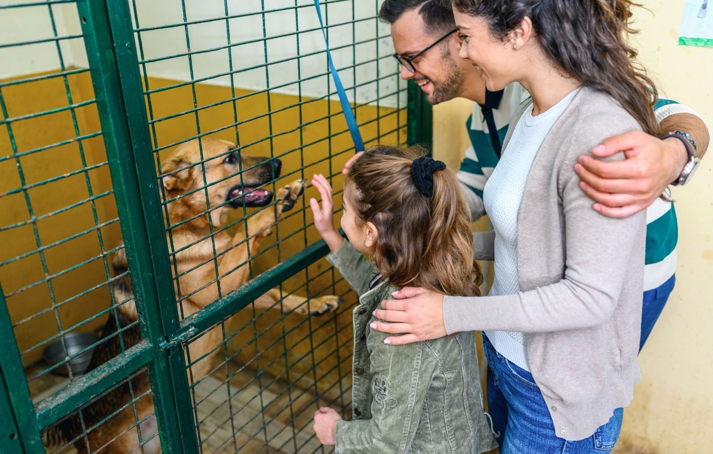 Lien Perdu – Lien Retrouvé